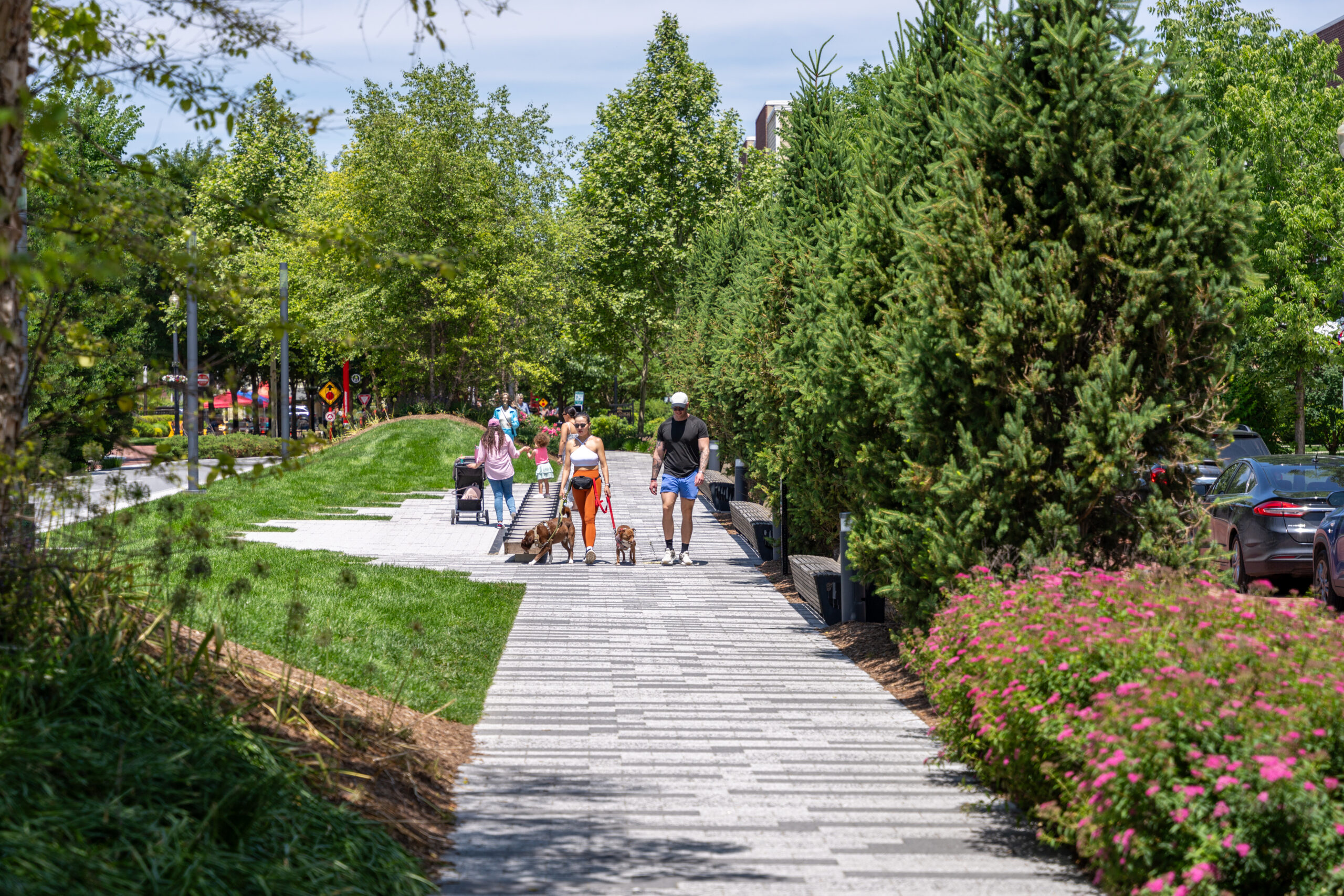 Photo of a couple walking their dogs on a walkway in Carmel, Indiana