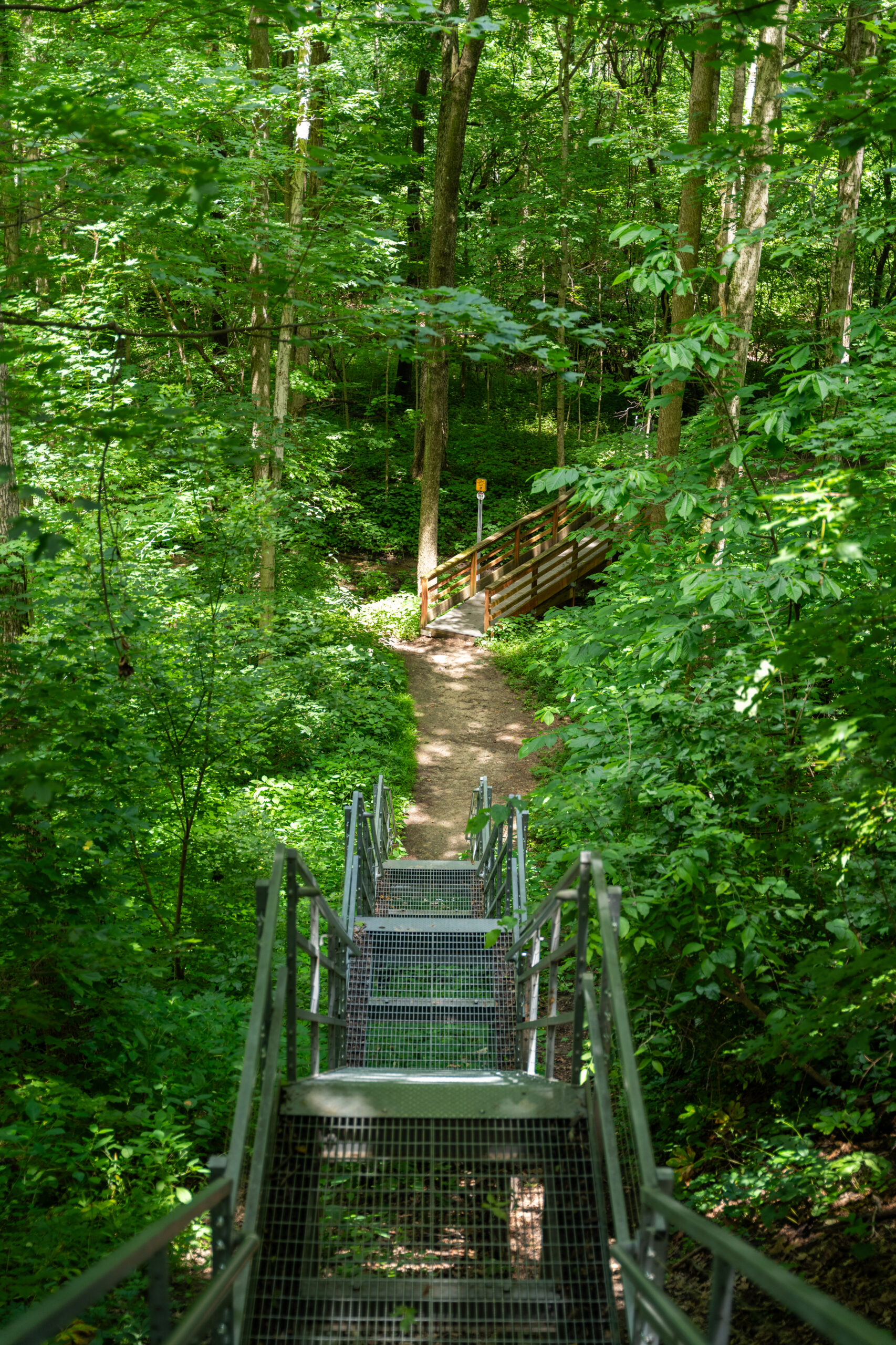 Picture of a hiking trail with stairs and a bridge in Zionsville, Indiana